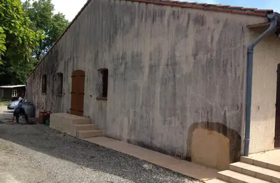 façade avant nettoyage